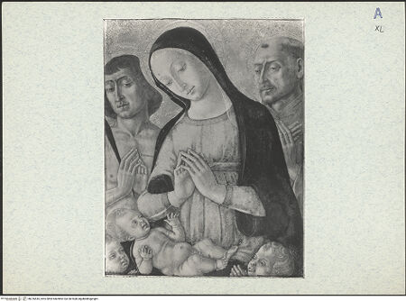 Vorderseite von bh316645_recto