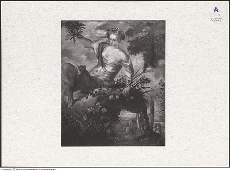 Vorderseite von bh316666_recto