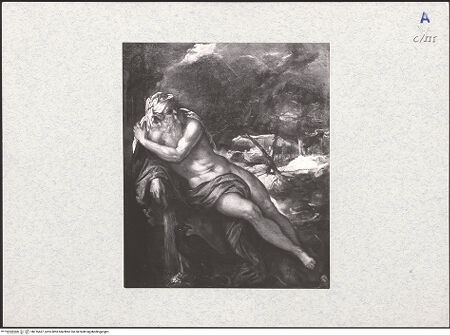 Vorderseite von bh316667_recto