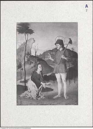 Vorderseite von bh316678_recto