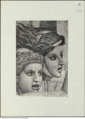 Vorderseite von bh316695_recto