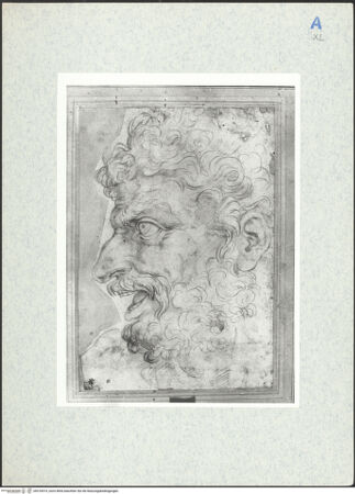 Vorderseite von bh316919_recto