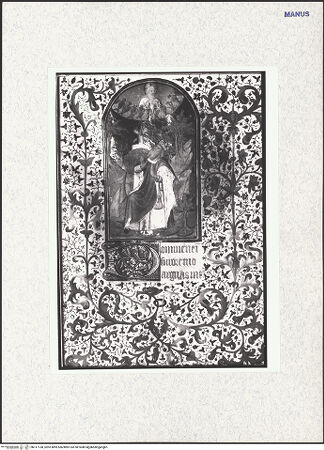 Vorderseite von bh317138_recto