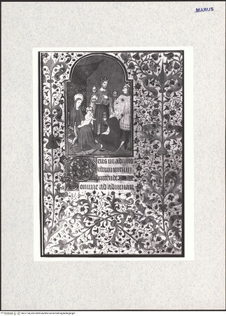 Vorderseite von bh317140_recto