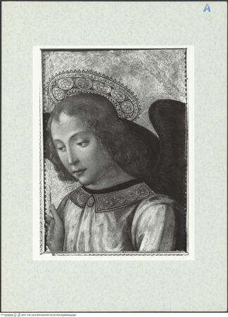 Vorderseite von bh317146_recto