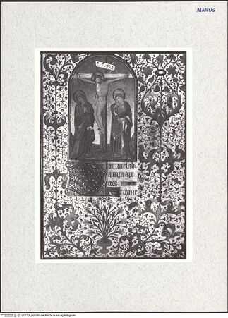 Vorderseite von bh317156_recto