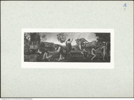 Vorderseite von bh317166_recto