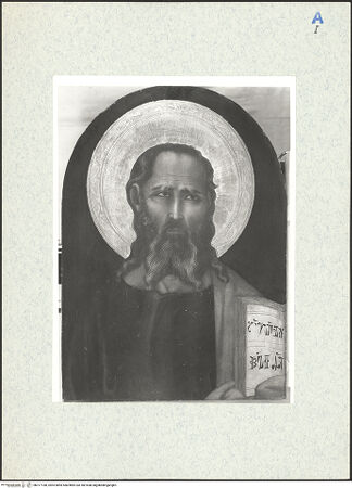 Vorderseite von bh317180_recto