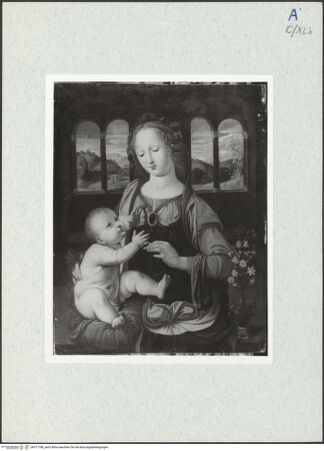 Vorderseite von bh317188_recto