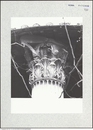 Vorderseite von bh317316_recto