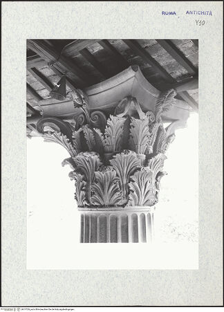 Vorderseite von bh317326_recto