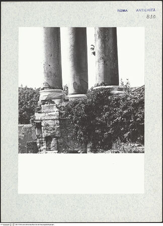 Vorderseite von bh317359_recto