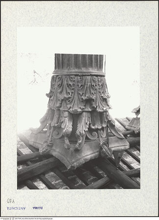 Vorderseite von bh317364_recto