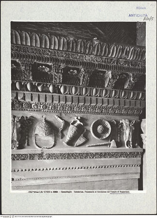 Vorderseite von bh317475_recto