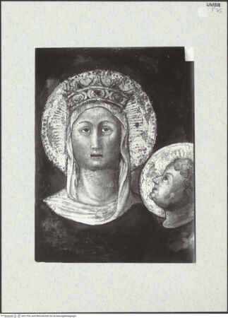 Vorderseite von bh317529_recto