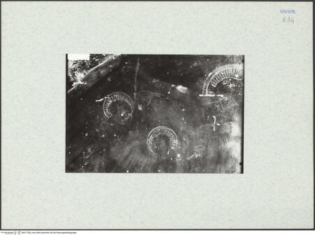 Vorderseite von bh317536_recto