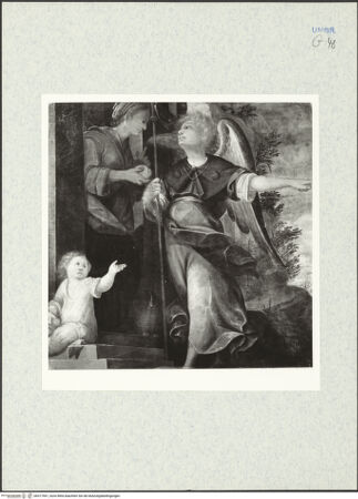 Vorderseite von bh317541_recto