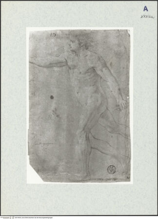 Vorderseite von bh318053_recto