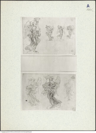 Vorderseite von bh318055_recto