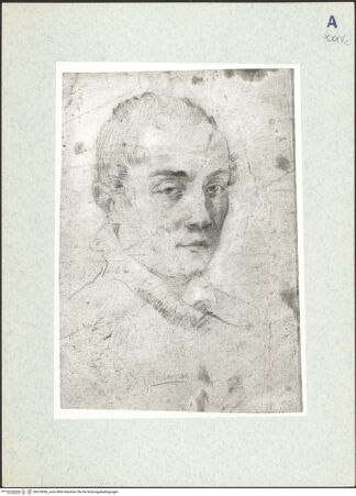 Vorderseite von bh318056_recto