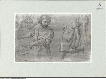 Vorderseite von bh318075_recto