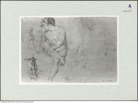 Vorderseite von bh318082_recto