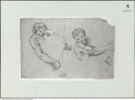 Vorderseite von bh318085_recto