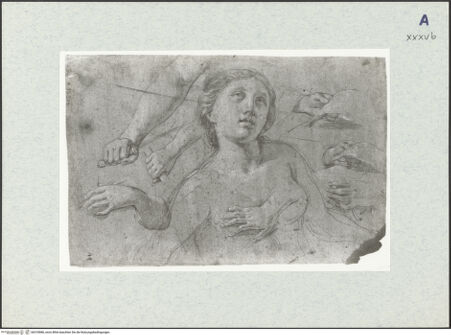 Vorderseite von bh318086_recto