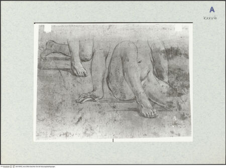 Vorderseite von bh318092_recto