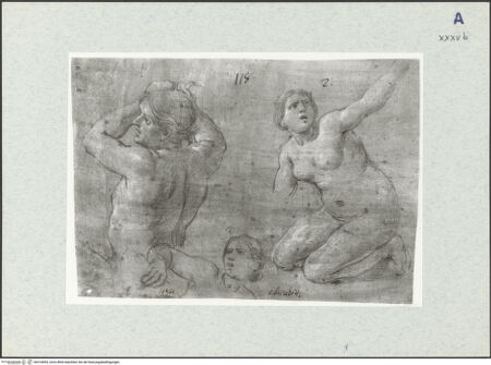 Vorderseite von bh318093_recto