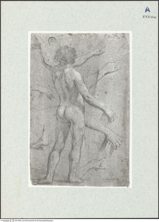 Vorderseite von bh318096_recto