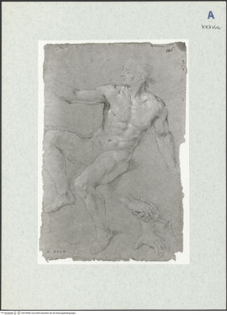 Vorderseite von bh318098_recto