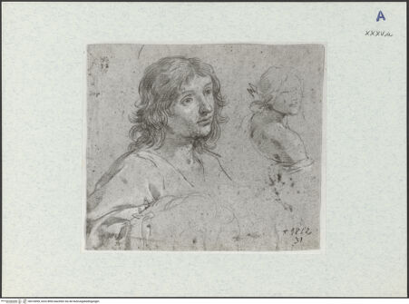 Vorderseite von bh318099_recto