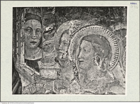 Vorderseite von bh318694_recto