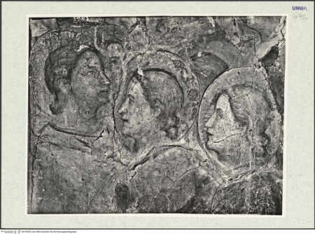 Vorderseite von bh318695_recto