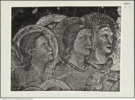 Vorderseite von bh318697_recto