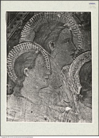 Vorderseite von bh318703_recto