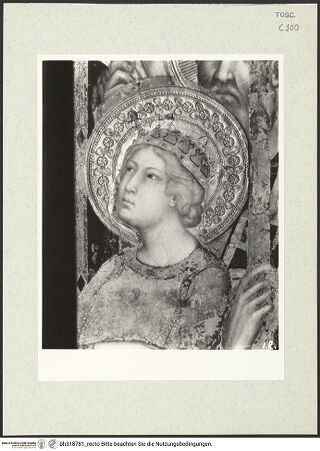 Vorderseite von bh318781_recto