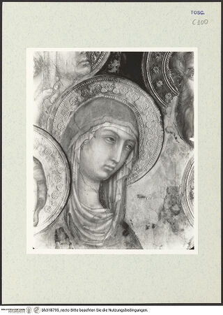 Vorderseite von bh318795_recto