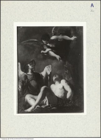 Vorderseite von bh319082_recto