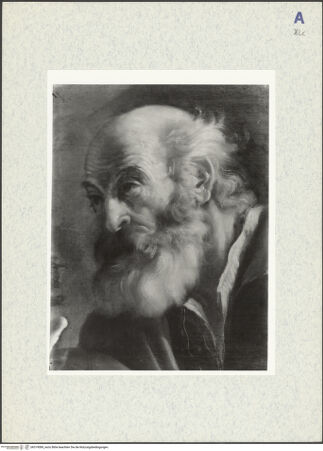 Vorderseite von bh319089_recto