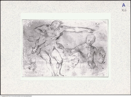 Vorderseite von bh319120_recto