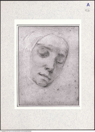 Vorderseite von bh319132_recto