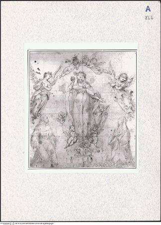 Vorderseite von bh319136_recto