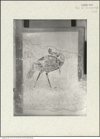 Vorderseite von bh319227_recto