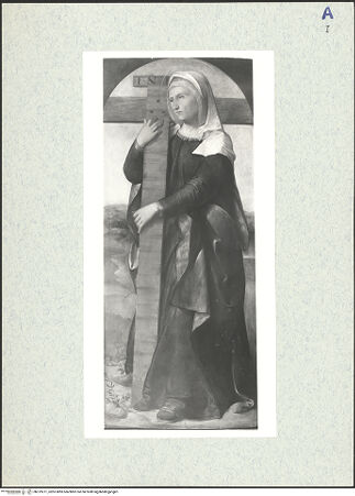 Vorderseite von bh319271_recto