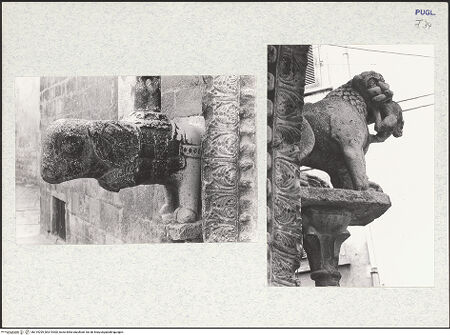 Vorderseite von bh319299_bh319300_recto