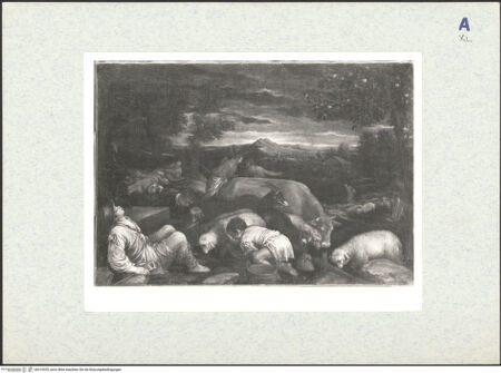 Vorderseite von bh319335_recto