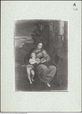 Vorderseite von bh319336_recto