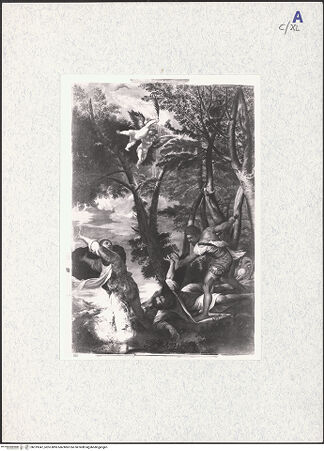 Vorderseite von bh319347_recto